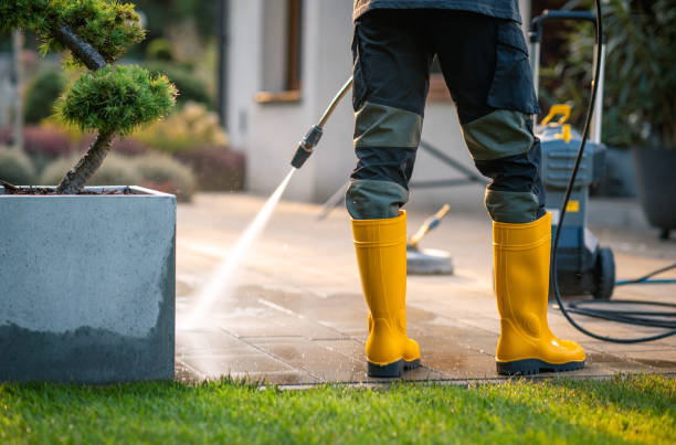 Best House Pressure Washing  in Sconsin Rapids, WI